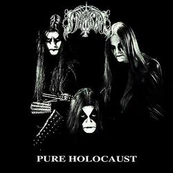 Immortal Pure Holocaust Vinyl LP