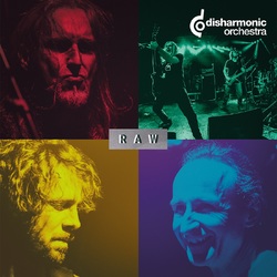 Disharmonic Orchestra RAW Vinyl LP