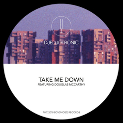 Djedjotronic Take Me Down Vinyl 12"