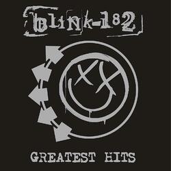Blink-182 GREATEST HITS  Coloured Vinyl 2 LP