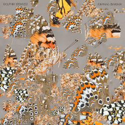 Dolphin Midwives Liminal Garden Vinyl LP