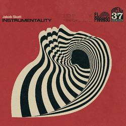 Jakob Skott Instrumentality Vinyl LP