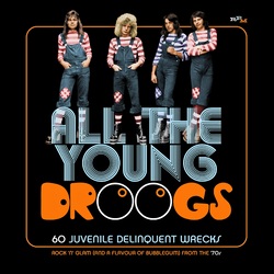 Various Artist All The Young Droogs: 60 Juvenile Delinquent / Var 3 CD