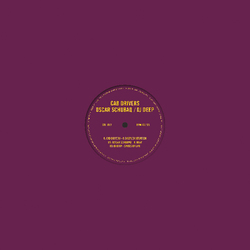 Various Artist Slices Of Life 10 2 Vinyl 12"