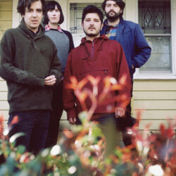 Twerps The Twerps Vinyl LP