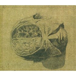 Farsot Insects VINYL LP