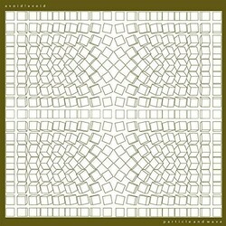 avoid!avoid Particle And Wave Vinyl LP