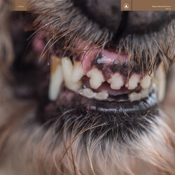 Blanck Mass World Eater Vinyl LP
