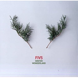 Fiv5 Winter Wonderland Vinyl LP