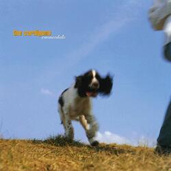Cardigans Emmerdale Vinyl LP