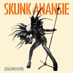 Skunk Anansie 25live@25 box set Vinyl 4 LP