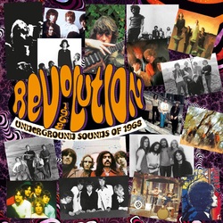 Various Artist Revolution: Underground Sounds Of 1968 3 CD