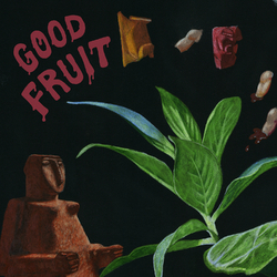 Teen Good Fruit VINYL LP