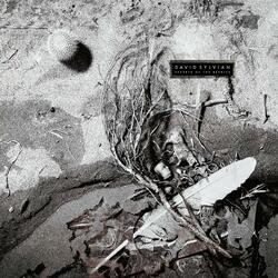 David Sylvian Secrets Of The Beehive Vinyl LP