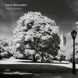 Larry Grenadier Gleaners Vinyl LP