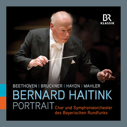 Beethoven Bernard Haitink Portrait box set 11 CD