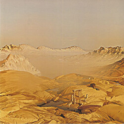 Your Gay Thoughts Sinking Ship Vinyl LP