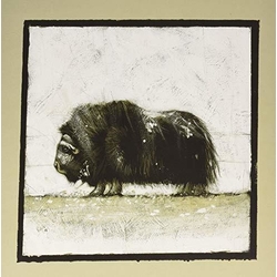 Gianni Maroccolo Alone: Volume 1 Vinyl LP