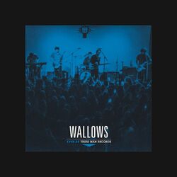 Wallows Live At Third Man Records Vinyl LP