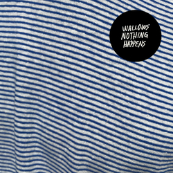 Wallows Nothing Happens VINYL LP