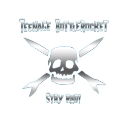 Teenage Bottlerocket Stay Rad Vinyl LP