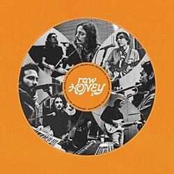 Drugdealer Raw Honey Vinyl LP