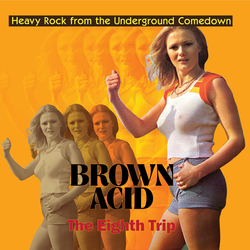 Various Artist Brown Acid - The Eighth Trip VINYL LP