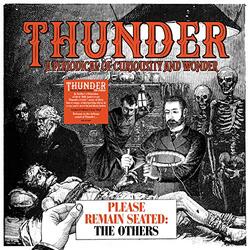 Thunder Please Remain Seated - The Others Vinyl LP