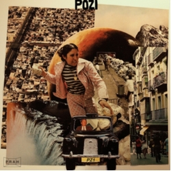Pozi Pz1 Vinyl LP