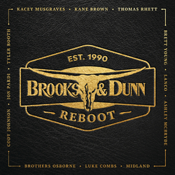Brooks & Dunn Reboot 140gm Vinyl LP