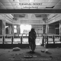 Labrecque / Barakat Terminal Desert Vinyl LP