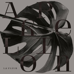 Fleur Aphelion Vinyl LP