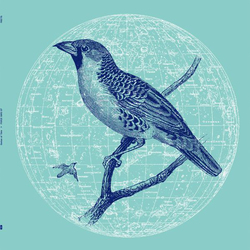 Genius Of Time Peace Bird Vinyl LP