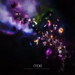 Mae Multisensory Aesthetic Experience Vinyl 2 LP