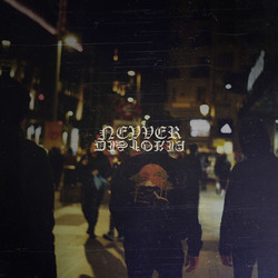 Nevver Disforia ltd 10"