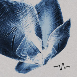 Various Artist Oscillate Tracks 002 Vinyl 12"