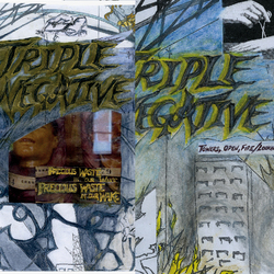 Triple Negative Precious Waste In Our Wake Vinyl LP
