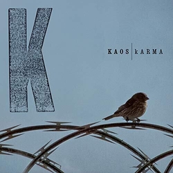 Kaos Karma VINYL LP