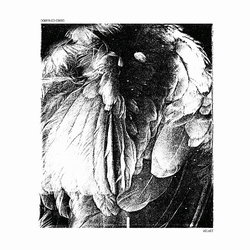 Domenico Crisci Velvet Vinyl 12"