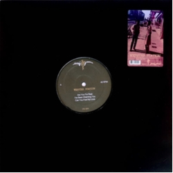 Webster Station Webster Station VINYL 12INCH