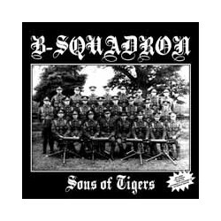 B Squadron Sons Of Tigers Vinyl LP