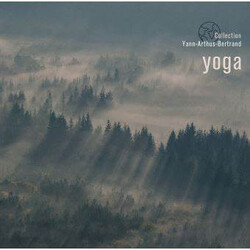 Nicolas Dri / Michael Goldberg (8) / Thierry Noritop Yoga Vinyl LP