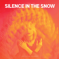 Silence In The Snow Levitation Chamber VINYL LP