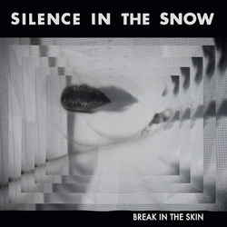 Silence In The Snow Break In The Skin Vinyl LP