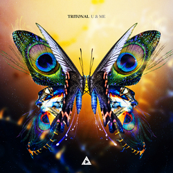 Tritonal U & Me Vinyl 2 LP