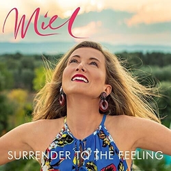 Miel De Botton Surrender To The Feeling VINYL LP