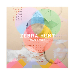Zebra Hunt TRADE DESIRE Vinyl LP