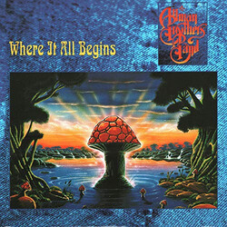 The Allman Brothers Band Where It All Begins Vinyl 2 LP