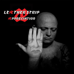 Leæther Strip Æppreciation Vinyl LP