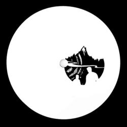 Julius Steinhoff Forgotten Garden Vinyl 12"